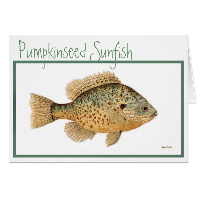 Pumpkinseed Sunfishkarte (Vorderseite (Horizontal))