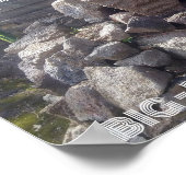 PUNA BASALT BIG ISLAND HAWAII POSTER (Ecke)
