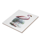 Puna Flamingo Vintag Illustration Fliese (Seite)