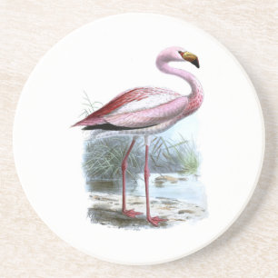 Puna Flamingo Vintag Illustration Getränkeuntersetzer