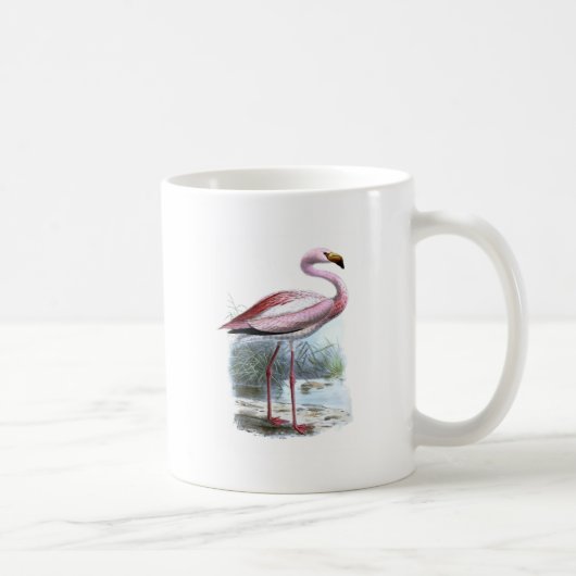 Puna Flamingo Vintag Illustration Kaffeetasse (Rechts)