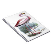 Puna Flamingo Vintag Illustration Notizblock (Rechte Seite)