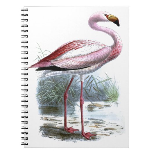 Puna Flamingo Vintag Illustration Notizblock (Vorderseite)