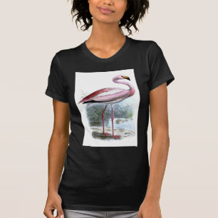 Puna Flamingo Vintag Illustration T-Shirt