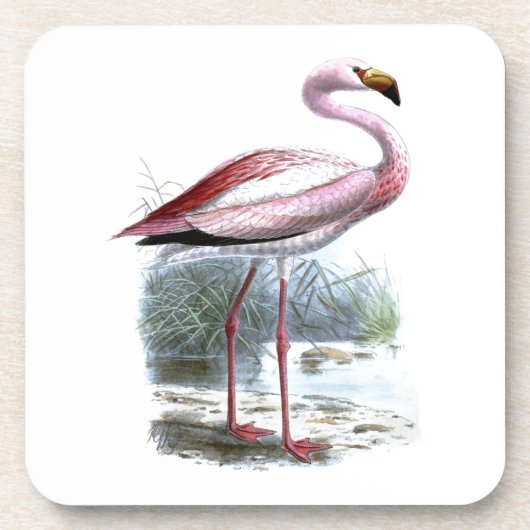 Puna Flamingo Vintag Illustration Untersetzer (Vorderseite)
