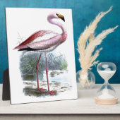 Puna-Flamingo-Vintage-Illustration Fotoplatte (Seite)