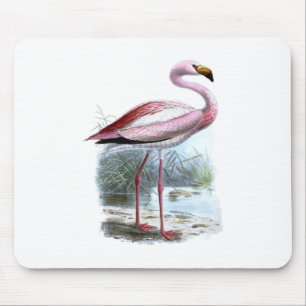 Puna-Flamingo-Vintage-Illustration Mousepad
