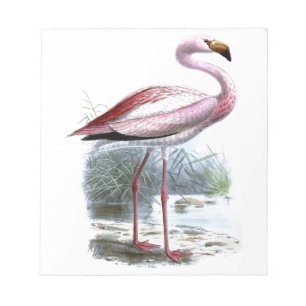 Puna-Flamingo-Vintage-Illustration Notizblock