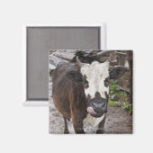 punakha Bezirk Bhutan Magnet (Vorderseite/Rückseite)