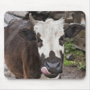 punakha Bezirk Bhutan Mousepad