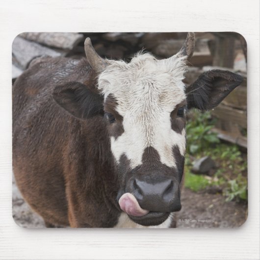 punakha Bezirk Bhutan Mousepad (Vorne)