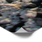 Punaluu Black Sand Beach Hawaii Große Insel Poster (Ecke)