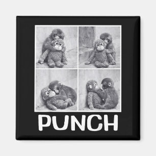 Punch Baby-Affen-Meme  Magnet