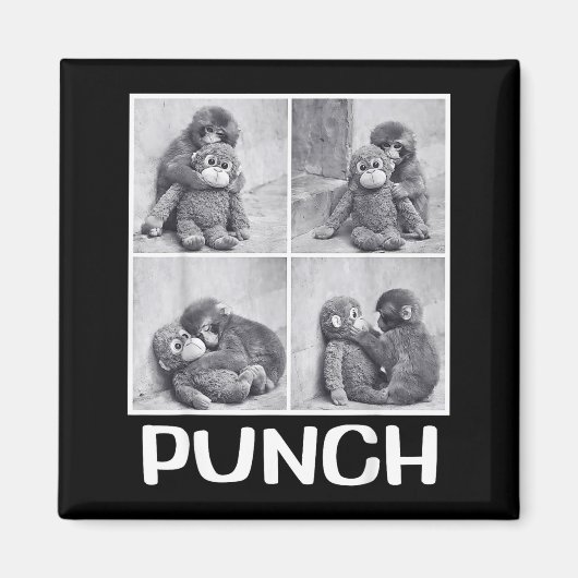 Punch Baby-Affen-Meme Magnet (Vorne)