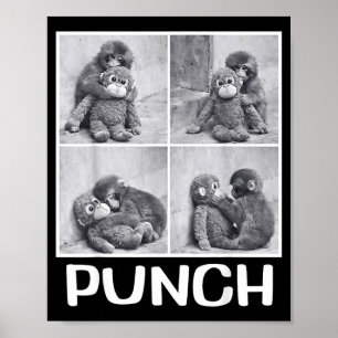 Punch Baby-Affen-Meme  Poster