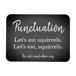 Punctuation Funny Magnet