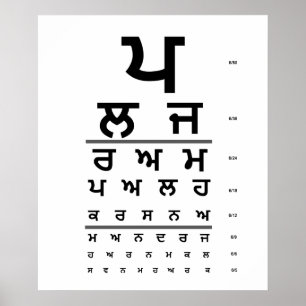 PUNJABI EYE CHART POSTER