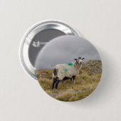 Punk Button (Vorne & Hinten)