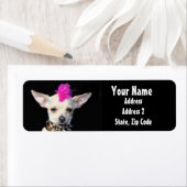 Punk Chihuahua Address Labels (Insitu)