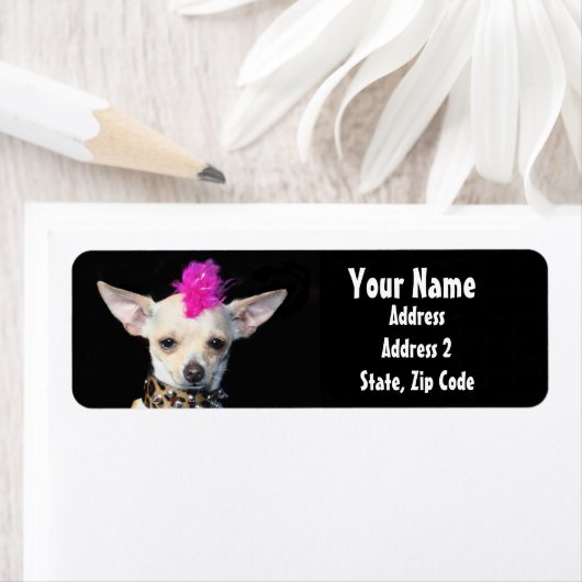 Punk Chihuahua Address Labels (Insitu)