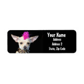 Punk Chihuahua Address Labels (Vorne)