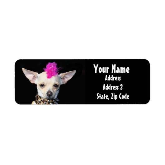 Punk Chihuahua Address Labels (Vorne)