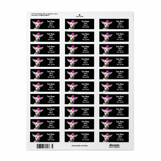 Punk Chihuahua Address Labels (Vorne)