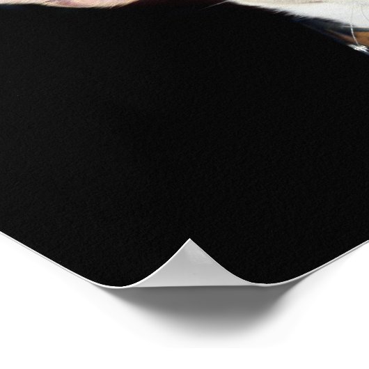 Punk Chihuahua Poster (Ecke)