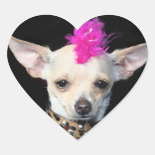 Punk Chihuahua Stickers