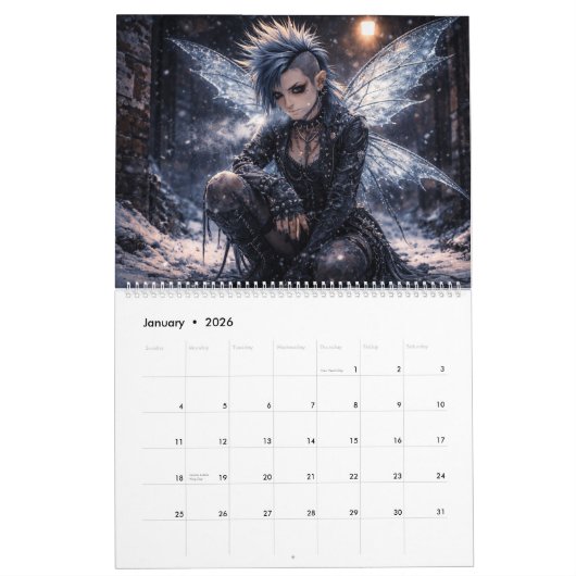 Punk Fairies Wall Calendar Kalender (Jan 2026)