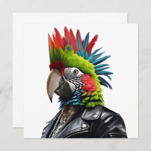 Punk Parrot (Vorne/Hinten)