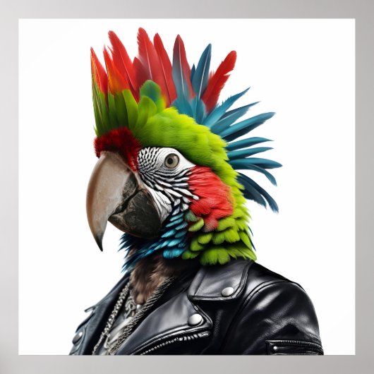 Punk Parrot Poster (Vorne)