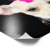 Punk Rock Chihuahua Fotodruck (Ecke)