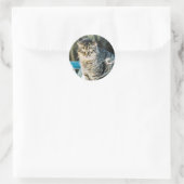 Punk Rock Feral Tom Cat Runder Aufkleber (Tasche)