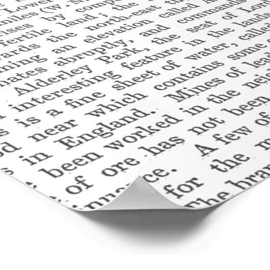 Punk Rock Goose Poster (Ecke)