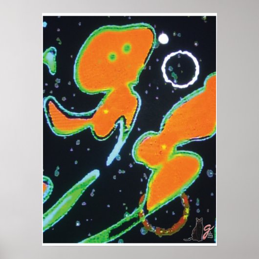 Punkin KC Bild Poster (Vorne)