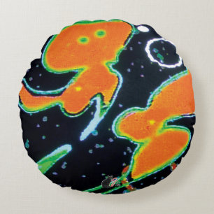 Punkin KC-Image Rundes Kissen