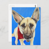 Punkin Painting Postkarte (Vorne/Hinten)