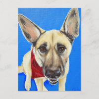 Punkin Painting