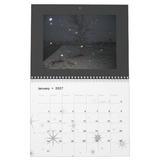 Punkphotographie 2009 kalender (Jan 2027)