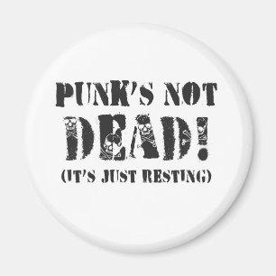 Punks leben! magnet