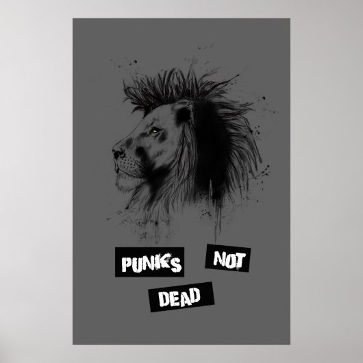 Punks nicht tot poster (Vorne)
