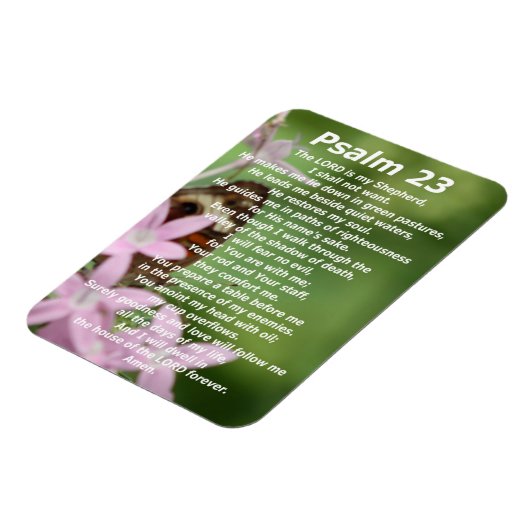 Punkt 23 (4) magnet (Linke Seite)