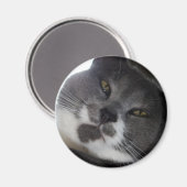 Punkt 2 magnet (Vorderseite/Rückseite)