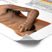 Punktdiagramm der französischen Akupunktur Meridia Poster (Ecke)
