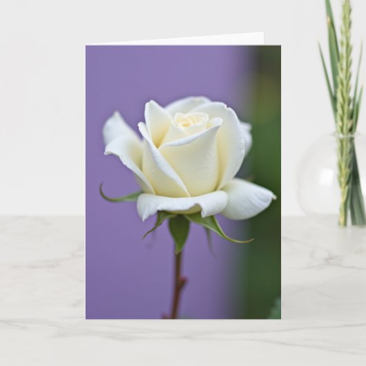 Punkte Blumenblüte Weiß Karte (Vorderseite)
