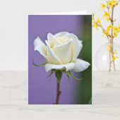 Punkte Blumenblüte Weiß Karte (Gelbe Blume)