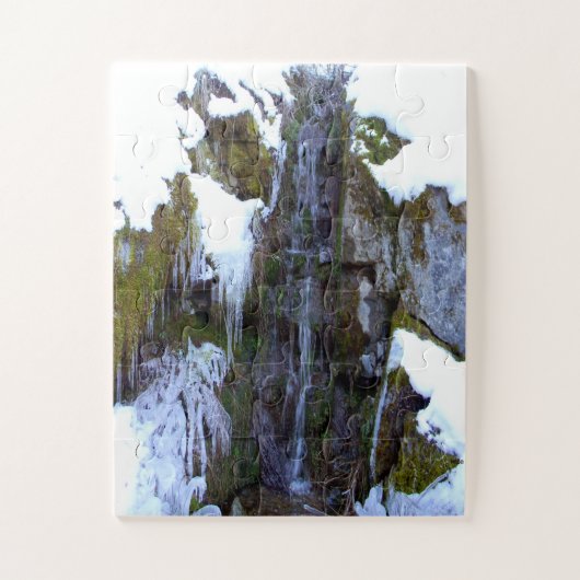 Pünktlich gefroren.... puzzle (Vertikal)