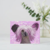 Punky2 Postkarte (Stehend Vorderseite)