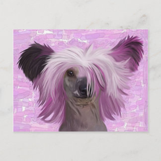Punky2 Postkarte